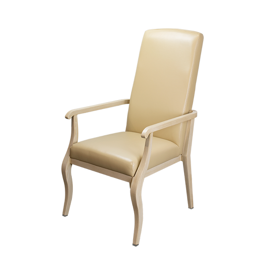 Dynarex Resident Room Chair 12523-BC